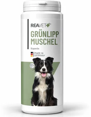 Produktbild von REAVET Grünlippmuschel Kapseln 300 Stück Hund hochdosiert - Gelenktabletten für Hunde mit Grünlippmuschelpulver Grünlippmuschelextrakt