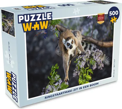 Obrázek produktu pro MuchoWow MuchoWow® Puzzle 500 ks Zvířata - Afrika - Lemur kroužkovaný