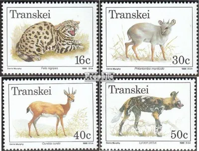 Produktbild von Briefmarken Südafrika - Transkei 1988 Mi 226-229 (kompl.Ausg.) postfrisch Gefährdete Wildtiere