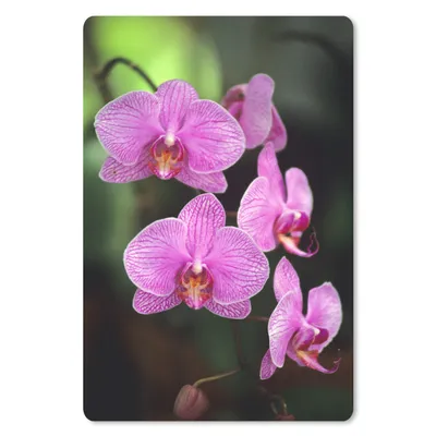Produktbild von MuchoWow® Mauspad Mousepad Rosa Orchidee 18x27 cm - Mousepads - Maus Mat - Pad - Mausunterlage