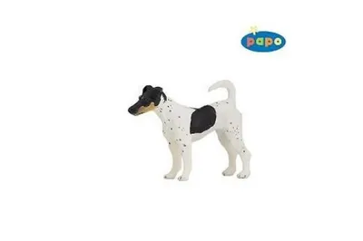 Obrázek produktu pro Fox Terrier