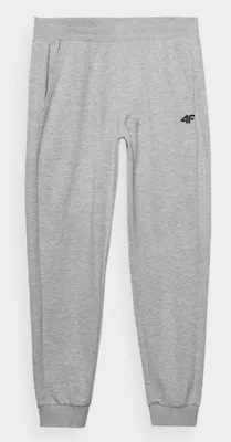 Zdjęcie produktu dla 4F CAS M0942 Herren Jogginghose XXL Grau