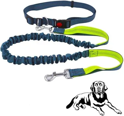 Productafbeelding van Famanu handsfree hondenriem met verstelbare riem - ideaal voor joggen en wandelen