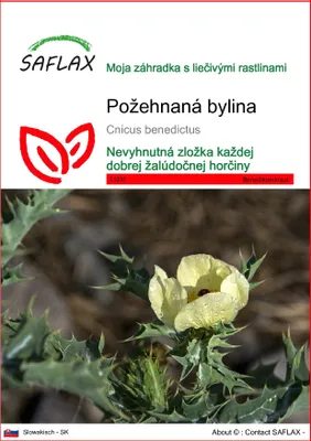 Obrázok produktu pre SAFLAX - požehnaná bylina - Cnicus benedictus - 50 Semená