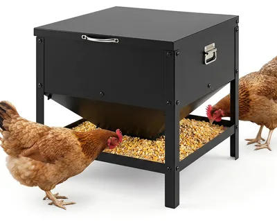 Produktbild von COSTWAY Großer Hühnerfutterautomat 56L aus Metall, Hühnerfütter quadratisch mit aufklappbarem Deckel & Tragegriffen, erhöhten Kanten & Stützbeinen