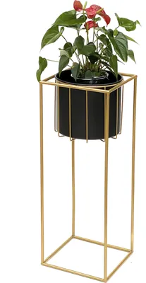 A potted plant with red flowers and green leaves sits on a gold metal stand against a white background.