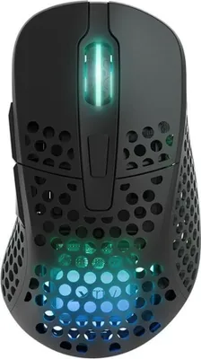 Image de CHERRY XTRFY M4  Wireless Maus RGB                   schwarz