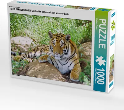 Produktbild von CALVENDO Puzzle Ein Motiv aus dem Kalender TIGER IMPRESSIONEN Gestreifte Seltenheit auf unserer Erde | 1000 Teile Lege-Größe 64x48cm Foto-Puzzle für glückliche Stunden