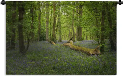 Produktbild von MuchoWow® Wandteppich Wandbehang Blumen - Wald - Blau 90x60 cm Tapisserie Dekoration Wandtuch - Wandskulpturen - Bildteppich