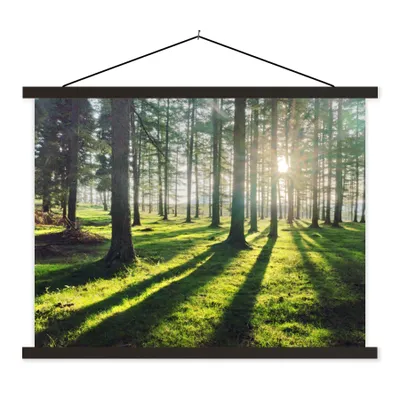 Produktbild von MuchoWow® Textilposter Bäume - Natur - Wald 150x113 cm mit schwarzem Rahmen - Wohnzimmer