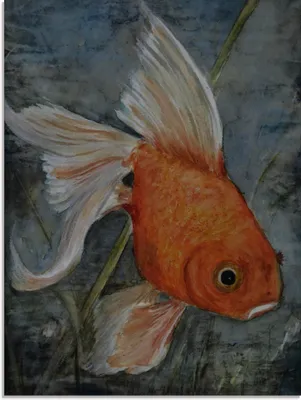 Produktbild von ARTland Glasbild Feng Shui - Goldfisch Größe: 45x60 cm