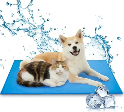 Produktbild von Kühlmatte 50 cm x 60 cm, für Hunde und Katzen, Gelkissen