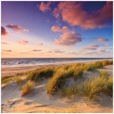 Produktbild von Wallario Magnet für Kühlschrank / Geschirrspüler, magnetisch haftende Folie - 60 x 60 cm, Motiv: Abendspaziergang am Strand - Sonnenuntergang über dem Meer