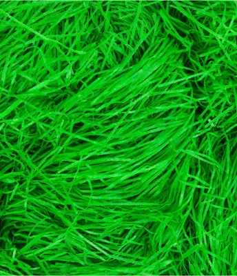 Produktbild von Ostergras 50 g