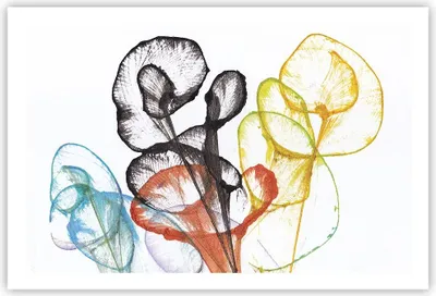 Produktbild von Poster - Poster ohne Rahmen - Blumen Abstraktion Surrealismus - 91,5x61 cm - Wand Bild - Wanddeko - Wandbilder - Kunstposter - Wandposter - Bilder - Kunstdruck - Wanddekoration - P2XAA91x61-4444
