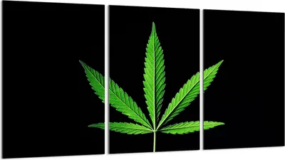 Produktbild von Glasschutzplatte für Herd 3x30x52