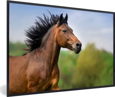 Produktbild von MuchoWow® MuchoWow® Gerahmtes Poster Pferd - Tier - Mähne - Braun 90x60 cm - Poster mit zchwarzem Bilderrahmen - Fotorahmen - Foto-Plakat