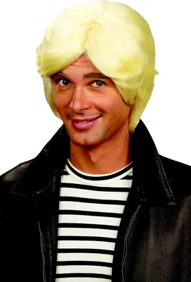 Obrázek produktu pro Pánská paruka s blond třásněmi