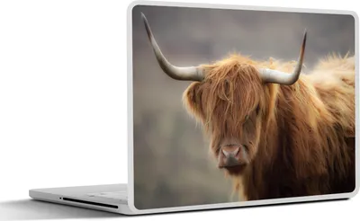 Produktbild von MuchoWow® Laptop Aufkleber Sticker Cover Schottisches Hochlandrind - Licht - Porträt 36.5x27.5 cm - Laptop-Sticker