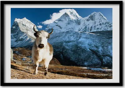 Produktbild von Bild - Bilderrahmen - 100 cm x 70 cm - MDF - Rahmen - Foto - Wandkunst wie Berge