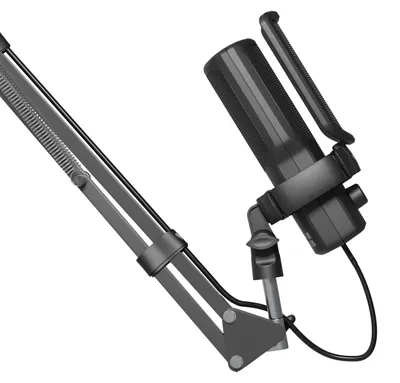 Image de Genesis Gaming Mikrofon RADIUM 251 USB schwarz