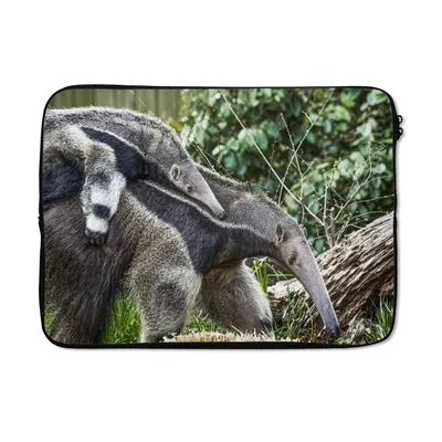 Produktbild von MuchoWow® Laptop Hülle 14 ZollAmeisenbär - Pflanze - Tier Laptoptasche - Laptoptasche - Stoßsicher - Schutzhaube