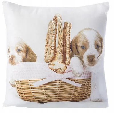 Image de Eurofirany Housse de coussin décorative 40x40 Animal Fermeture éclair