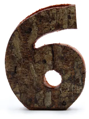Produktbild von Rindenstück – "6" (12) – Klein, 7 cm