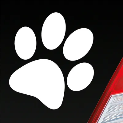 Produktbild von Auto Aufkleber Hundepfote Pfote Hund Fote Tatze 10x11 cm Weiss Glanz Sticker Heckscheibenaufkleber