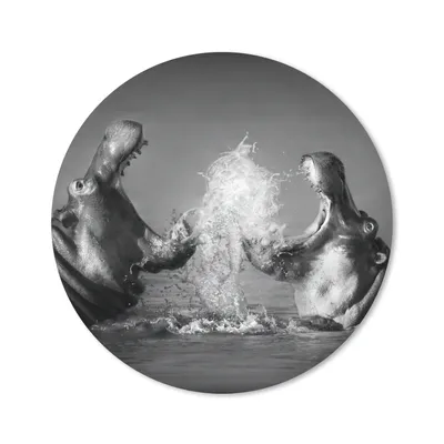 Produktbild von MuchoWow® Mauspad Mousepad Tiere - Nilpferd - Wasser - Schwarz - Weiß 40x40 cm - Mousepads - Maus Mat - Pad - Mausunterlage - Schreibtisch Accessoires