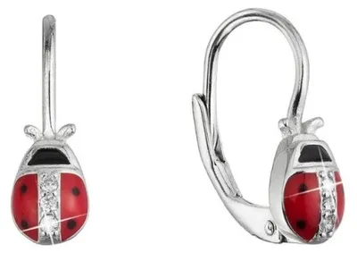 Immagine prodotto di Bellissimi orecchini in argento con zirconi 11534.1