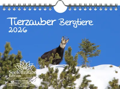 Produktbild von Tierzauber Bergtiere DIN A5 Kalender für 2026 verschiedene Bergtiere - Seelenzauber