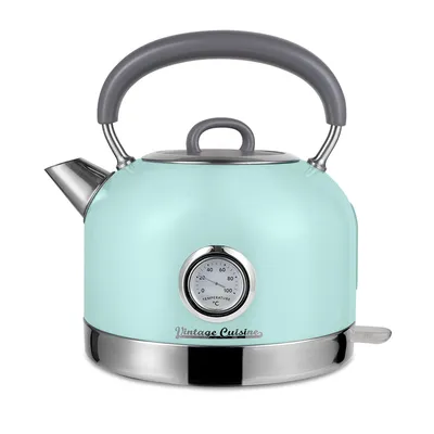 A mint green electric kettle with a thermometer on a white background.