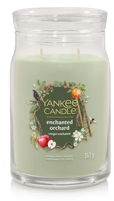Productafbeelding van Yankee Candle 2653158E, Rond, Groen, Transparant, 1 stuk