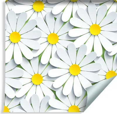 Produktbild von 10m VLIES TAPETE Rolle Blumen Natur Kamille 3D Effekt XXL