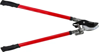 Image de Awtools Sécateur de branches 760Mm 45Mm Boîte de vitesse
