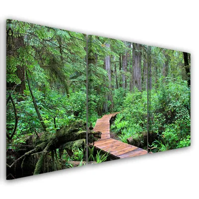 Produktbild von Triptychon auf leinwand grüne landschaften 60x40 cm Feeby grün wandbild bereit zum aufhängen