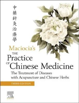 Produktbild von The Practice of Chinese Medicine