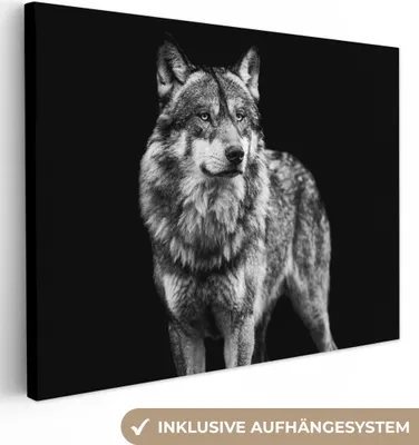 Obrázek produktu pro OneMillionCanvasses® - Obraz na plátně - Vlk - Zvířata - Divoká - Černá - Bílá, nástěnná malba, nástěnné dekorace obrazy obývací pokoj, 120x90cm