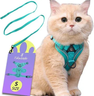Produktbild von Kattentuig mit Riemen, 150 cm, Klettverschluss, Polyester, blauw, für Katzen
