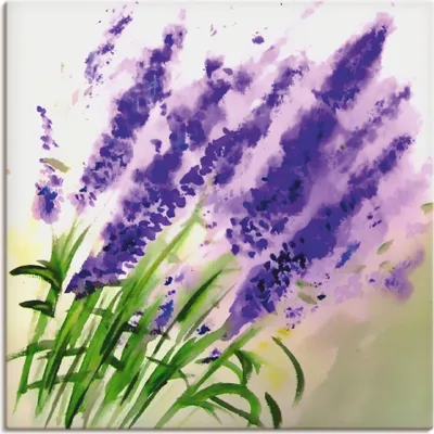 Produktbild von ARTland Leinwandbild Lavendel-aquarell Größe: 50x50 cm