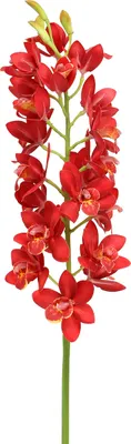 Produktbild von Orchidee Cymbidium Rot 78cm Künstliche Blume Deko RealTouch