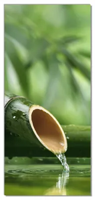 Produktbild von Wallario selbstklebende Türtapete 93 x 205 cm - Bambusquelle  Bambusrohr mit Wasser - Abwischbar, rückstandsfrei zu entfernen