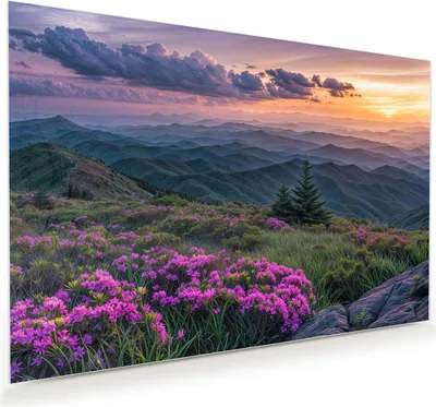 Produktbild von Glasbild 45x30cm in XXL für Wohnzimmer, Schlafzimmer Motiv Berglandschaft Blumen
