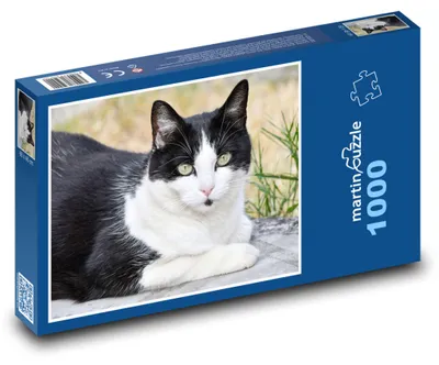 Obrázek produktu pro Puzzle 1000 Černobílá klidná kočka - martinpuzzle