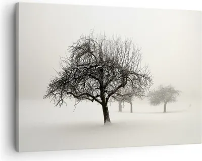 Produktbild von Bild auf Leinwand - Leinwandbild - Einteilig - Bäume Schnee Nebel - 70x50cm - Wand Bild - Wanddeko - Wandbilder - Leinwanddruck - Bilder - Wanddekoration - Leinwand bilder - Wandbild - AA70x50-4136