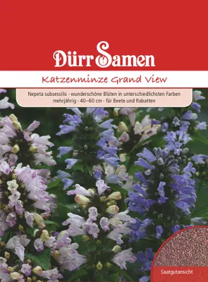 Artikelbild 1 von 'Katzenminze Grand View' aus der Kategorie Kleintiersaaten