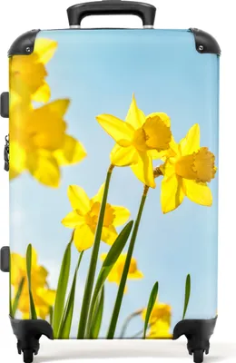 Produktbild von NoBoringSuitcases.com® Großer Koffer - Blumen - Narzisse - Gelb - Frühling - Botanisch - Kombinationsschloss TSA - Hartschalen Trolley 4 Rollen - 72 liter - Reisekoffer - 66 cmKoffer Mittelgroß 67x43x25 cm, 72L,