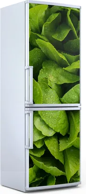 Produktbild von Magnete Dekorative - 70 cm x 190 cm - Küche - Magnetmatte Kühlschrankmagnete - Gemüse Farbige
