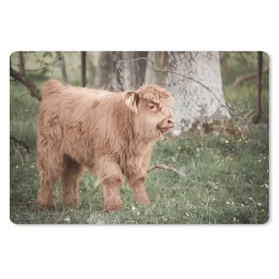 Produktbild von MuchoWow® Mauspad Mousepad Schottischer Highlander - Licht - Wald 27x18 cm - Mousepads - Maus Mat - Pad - Mausunterlage - Büroartikel - Desk Matten